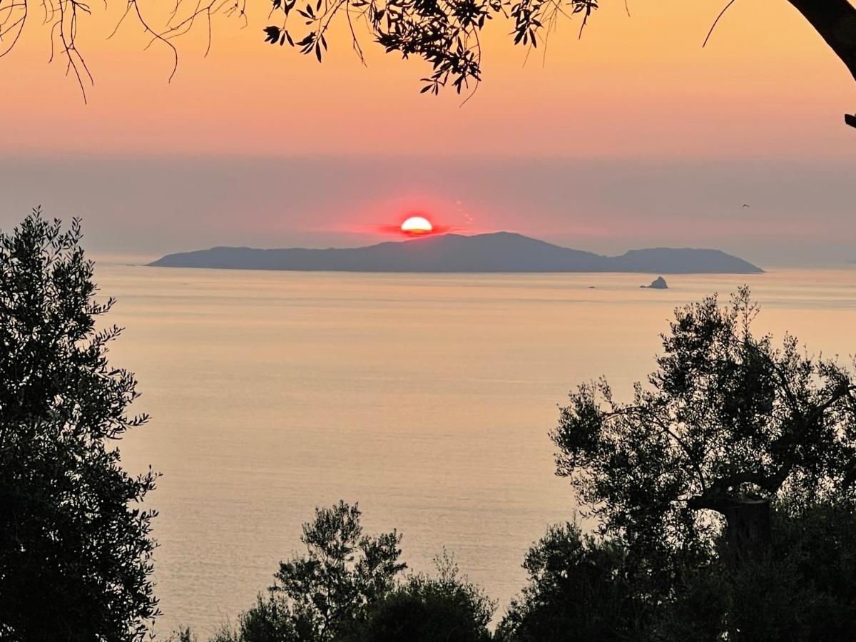 Arillas Hillside Villa 3 - Provence Экстерьер фото
